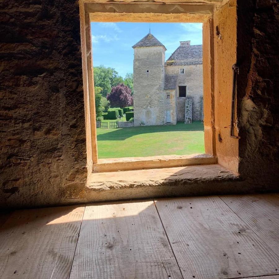 Chateau D'Ozenay Exterior foto